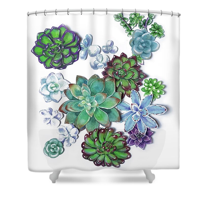 Succulent Shower Curtain featuring the painting Organic Succulent Plants Garden Watercolor Art Decor by Irina Sztukowski