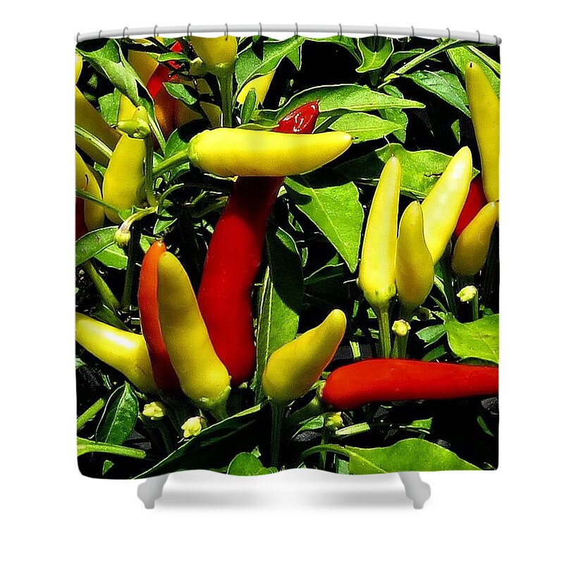 Vegetables Shower Curtain featuring the photograph Ornamental Peppers Close-up by Linda Stern