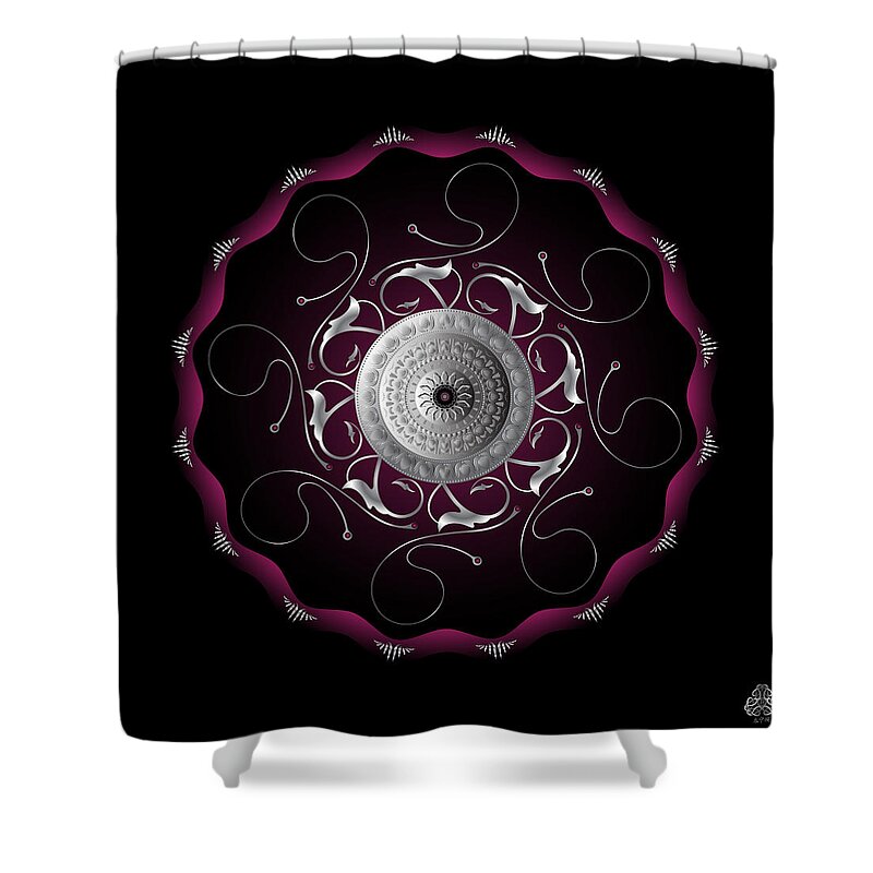 Mandala Shower Curtain featuring the digital art Ornativo Vero Circulus No 4196 by Alan Bennington