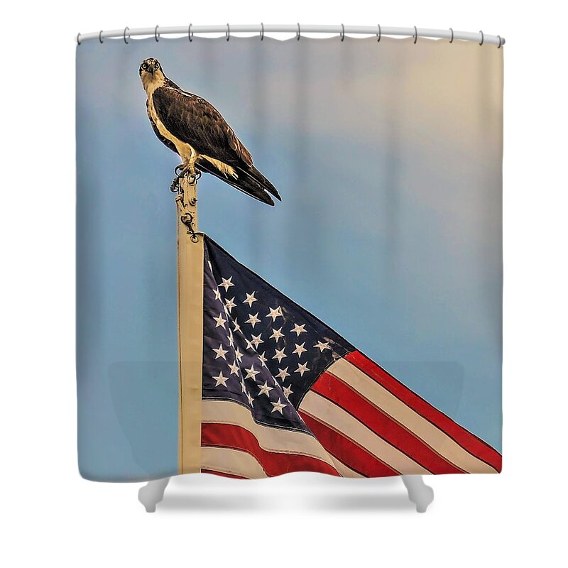 Ospray Bird Feathers Flag Shower Curtain featuring the photograph Osprey10a by John Linnemeyer