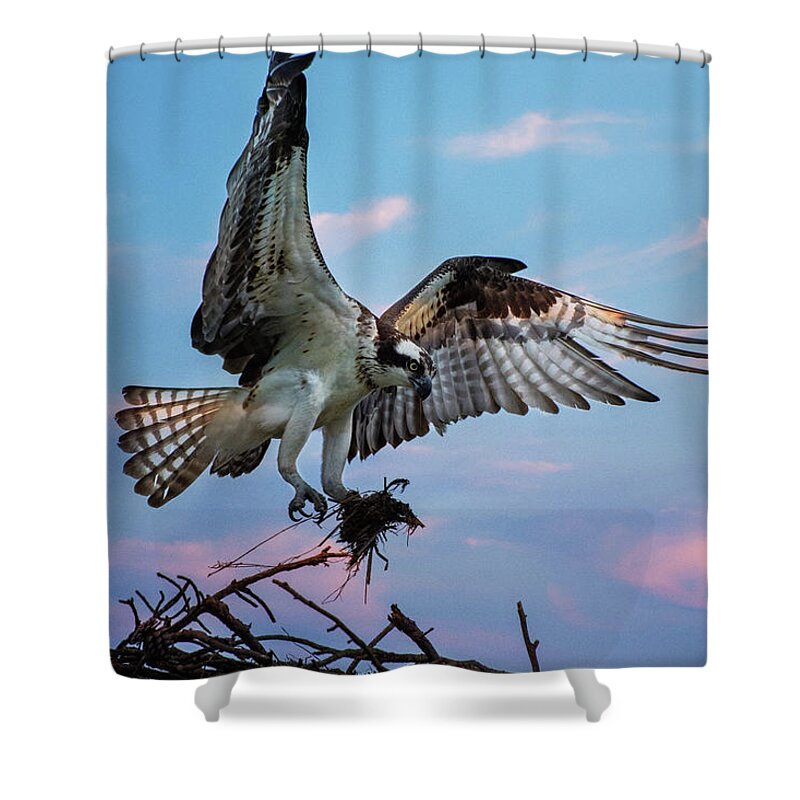 Osprey Shower Curtain featuring the photograph Osprey by Crystal Wightman