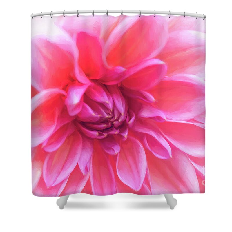 Dahlia Otto's Thrill Shower Curtain featuring the photograph Otto's Thrill Dahlia Up Close by Anita Pollak