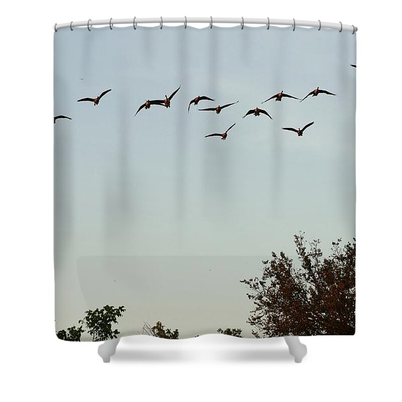 Bird Shower Curtain featuring the photograph Out Flying by On da Raks