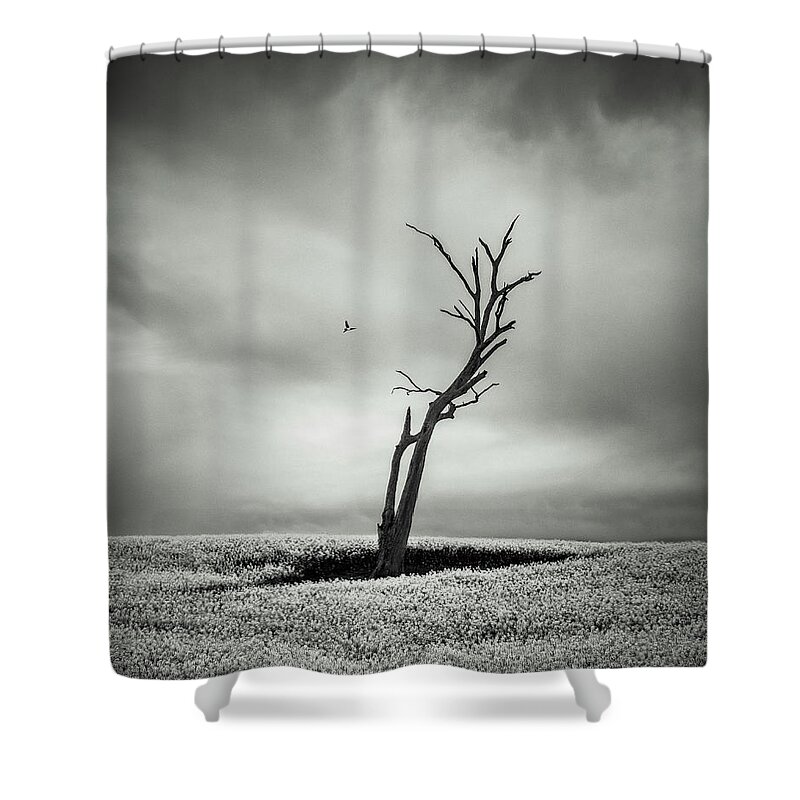 Monochrome Shower Curtain featuring the photograph Out West by Grant Galbraith