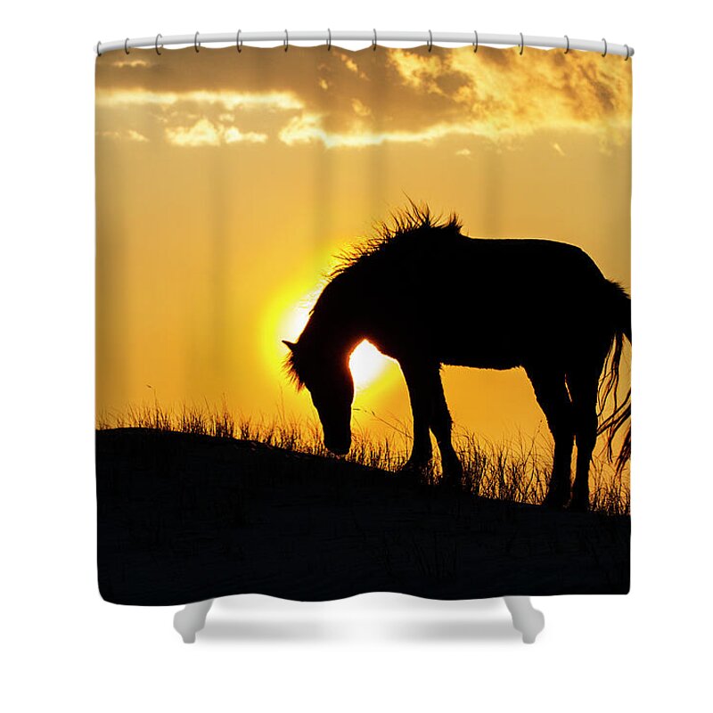 Wild Horse Shower Curtain featuring the photograph Outer Banks Wild Horse Silhouette at Sunset by Bob Decker