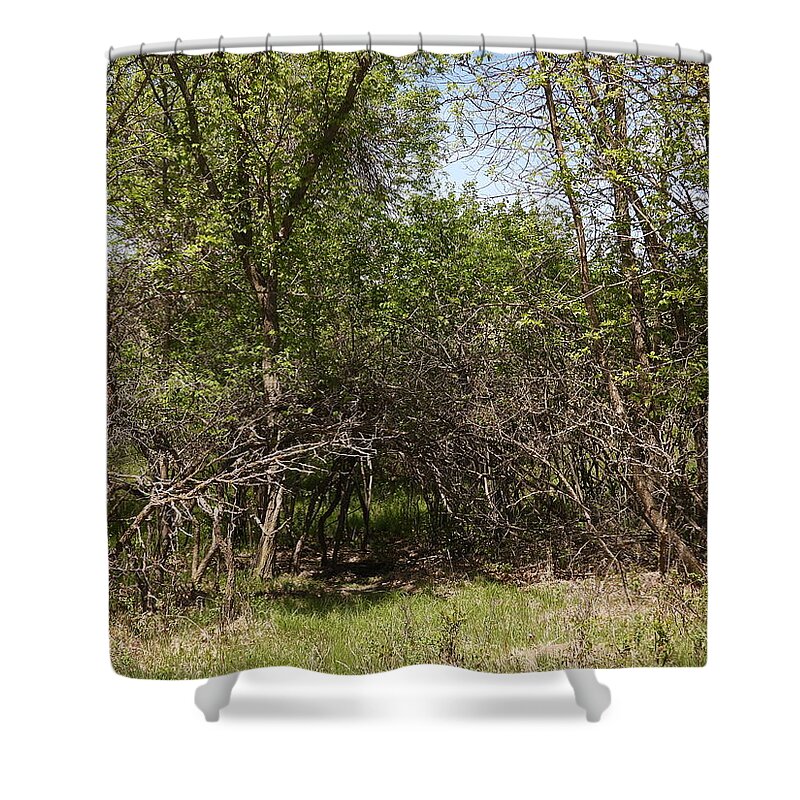 Hollow Shower Curtain featuring the photograph Over Grown Hollow by Amanda R Wright