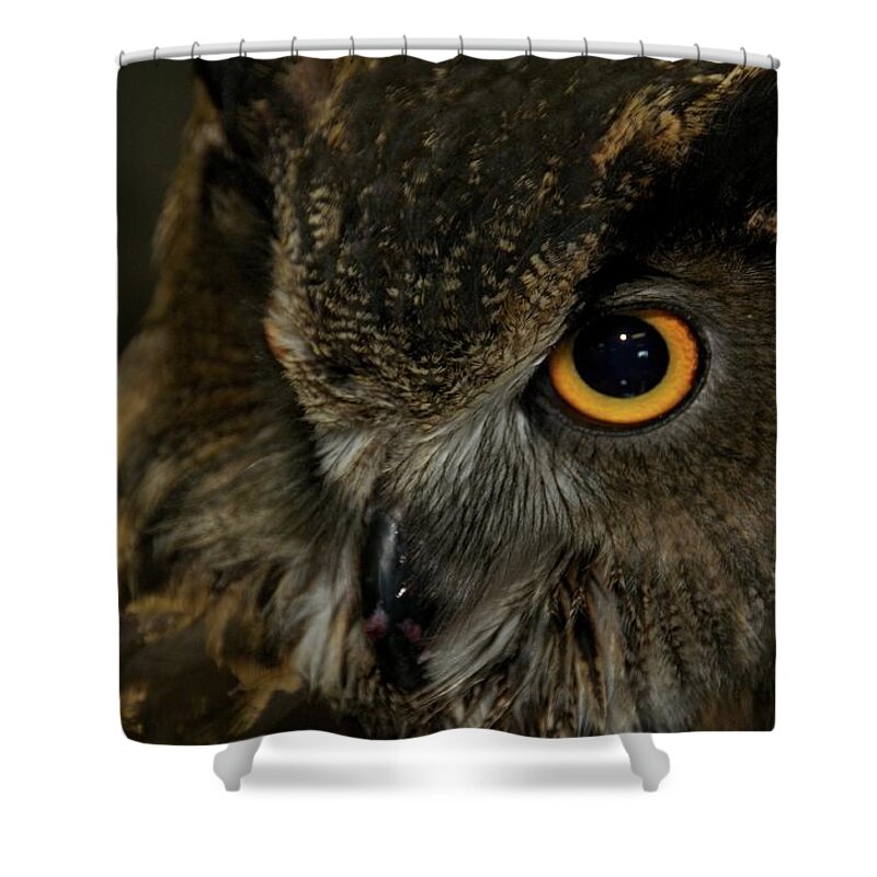 Animal Shower Curtain featuring the photograph Owl Be Seeing You by Melissa Southern