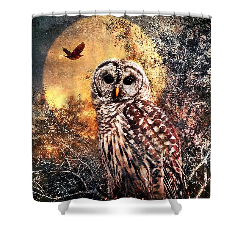 Photography Shower Curtain featuring the photograph Owl in Moonlight by Shara Abel