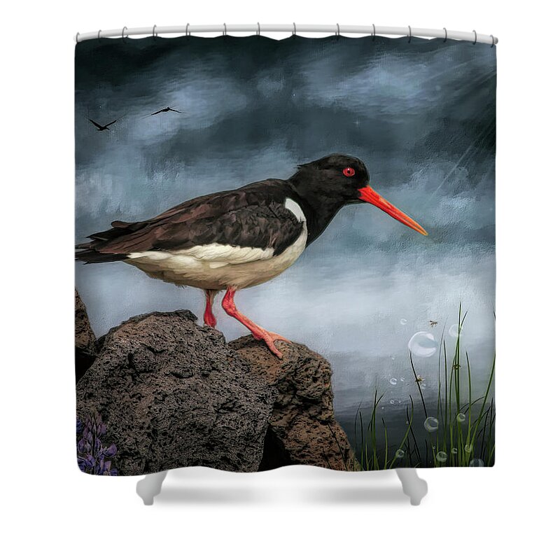 Oyster Catcher Shower Curtain featuring the digital art Oyster Catcher by Maggy Pease