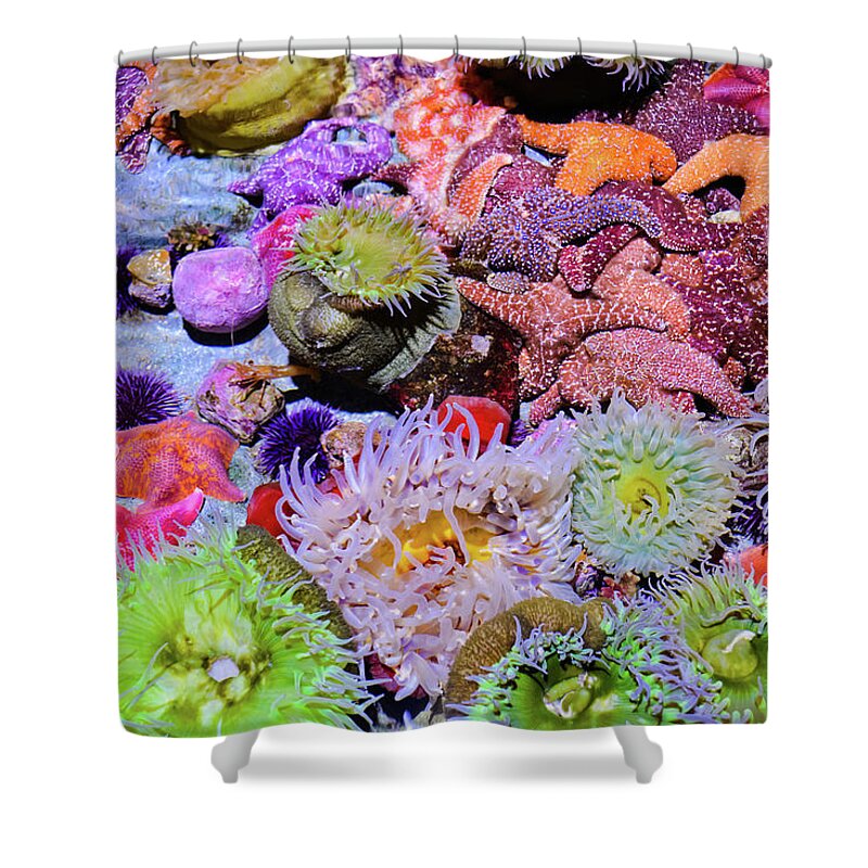 Pacific Ocean Shower Curtain featuring the photograph Pacific Ocean Reef by Kyle Hanson