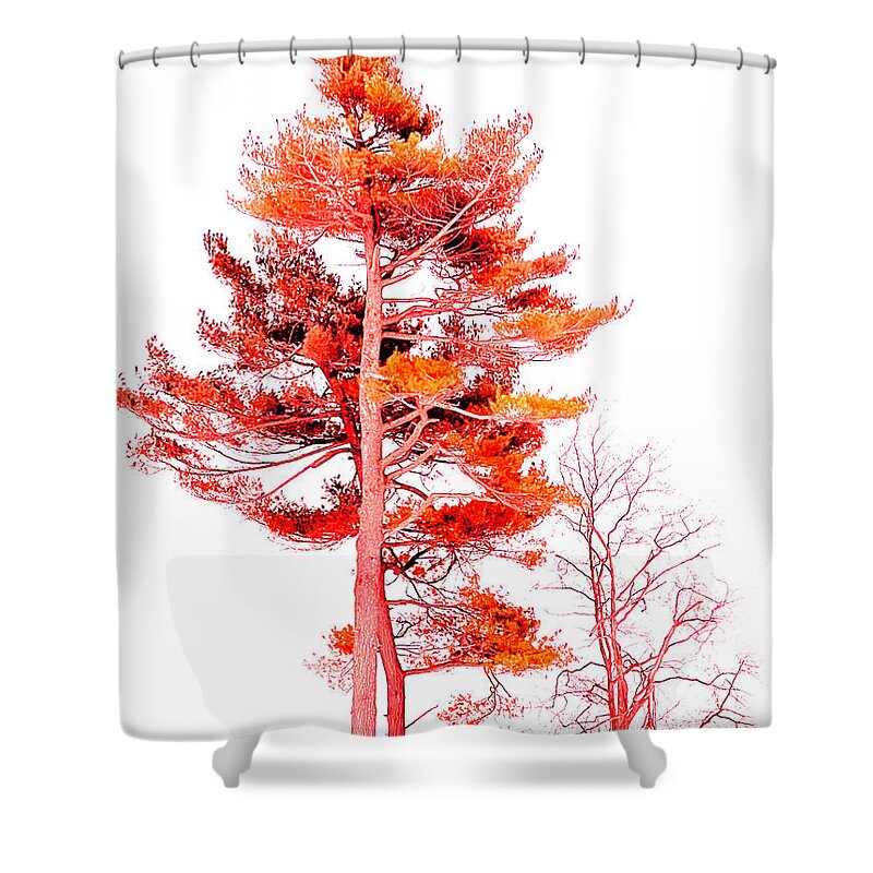 Pine Shower Curtain featuring the digital art Painted Pine 2 by JP McKim
