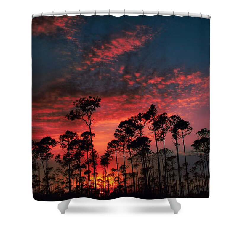 Sunset Shower Curtain featuring the photograph Painted Sky by Montez Kerr