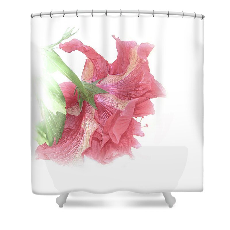 Shara Abel Shower Curtain featuring the photograph Painterly Pink by Shara Abel