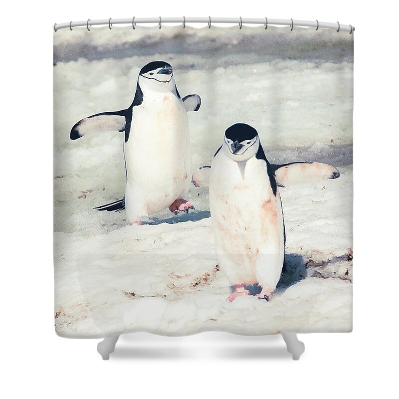 03feb20 Shower Curtain featuring the photograph Palaver Point Welcoming Party Pair by Jeff at JSJ Photography