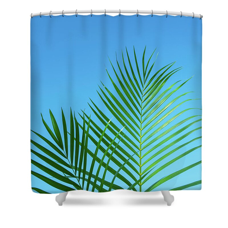 Palm Shower Curtain featuring the photograph Palm Fronds Tropical Blue by Laura Fasulo