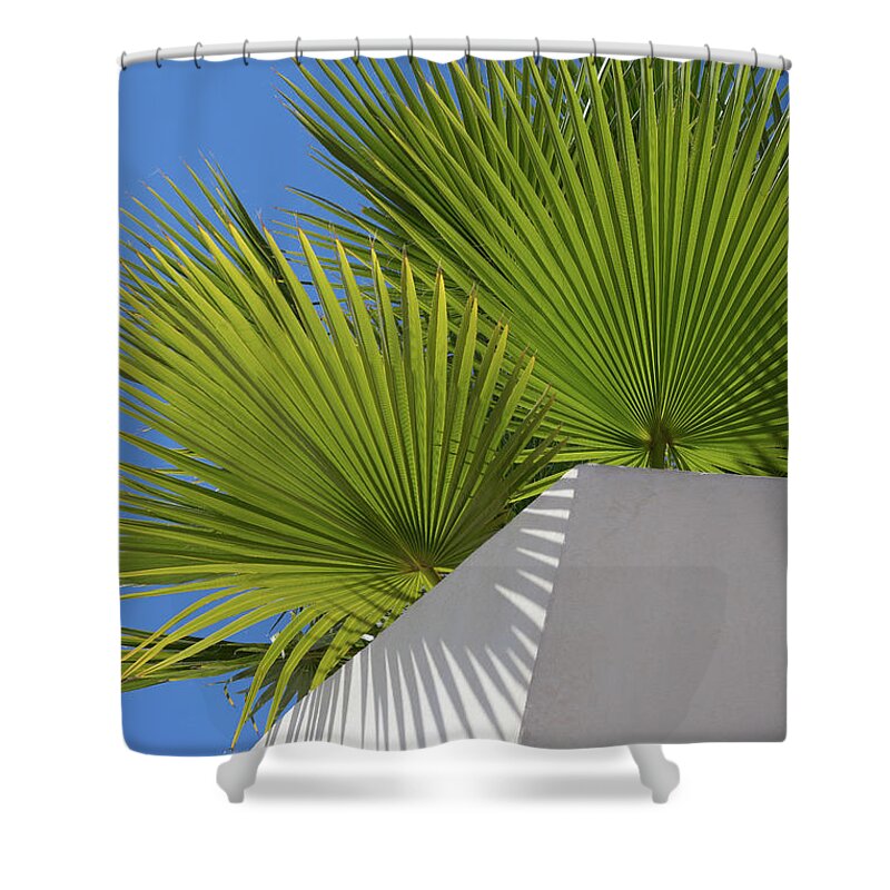 Palm Leaf Shower Curtain featuring the photograph Green palm leaves, blue sky and white wall of a modern finca 1 by Adriana Mueller