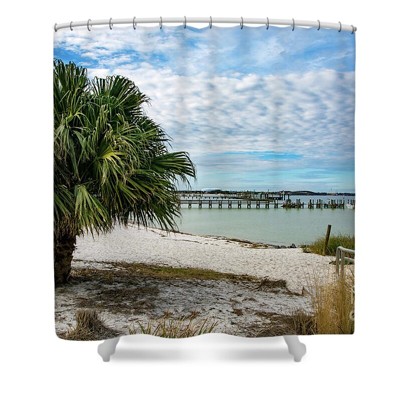 Palm Shower Curtain featuring the photograph Palm Tree on Quietwater Beach by Beachtown Views