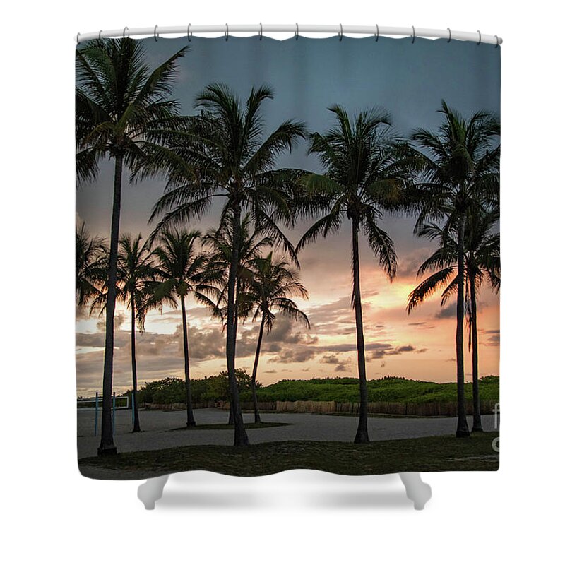Sunset Shower Curtain featuring the photograph Palm Tree Sunset, South Beach, Miami, Florida by Beachtown Views