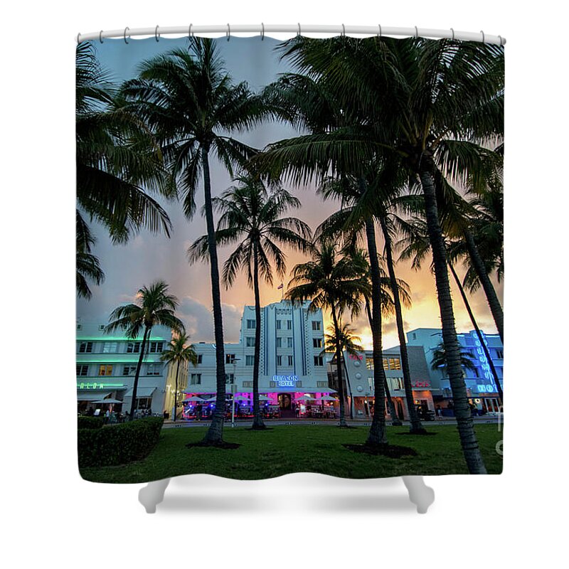 Palm Shower Curtain featuring the photograph Palm Trees on Ocean Drive South Beach Miami at Night by Beachtown Views