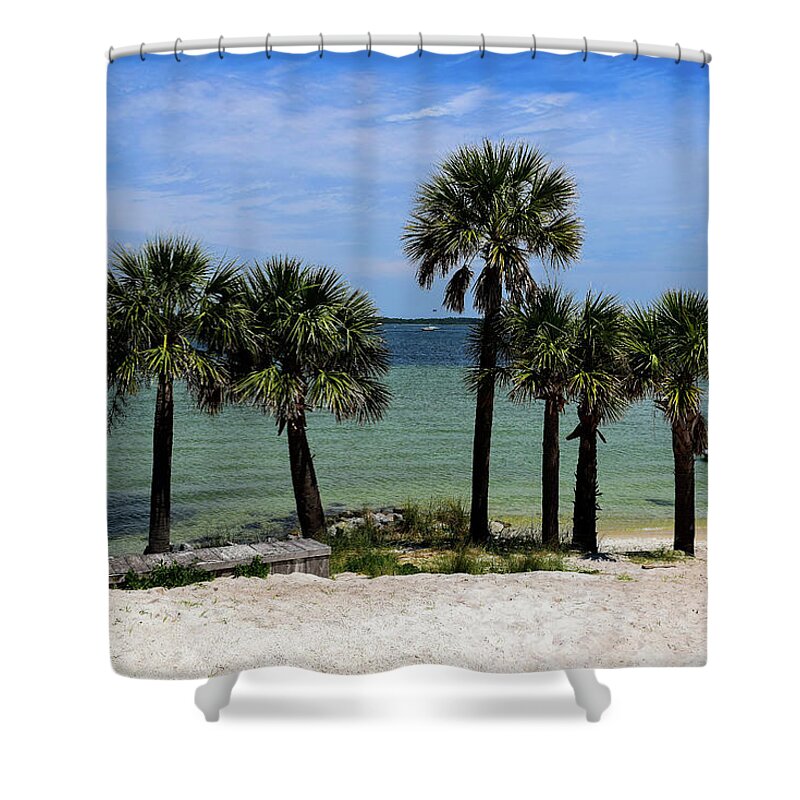 Palm Shower Curtain featuring the photograph Palm Trees on Pensacola Beach by Beachtown Views