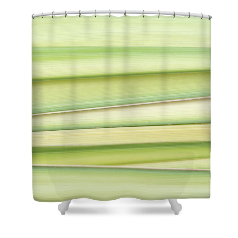 Abstract Shower Curtain featuring the photograph Palms by Forest Floor Photography