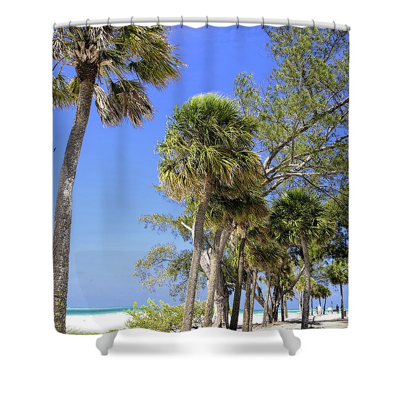 Palm Trees. Beach Shower Curtain featuring the digital art Palms Of The Gulf Coast by Alison Belsan Horton