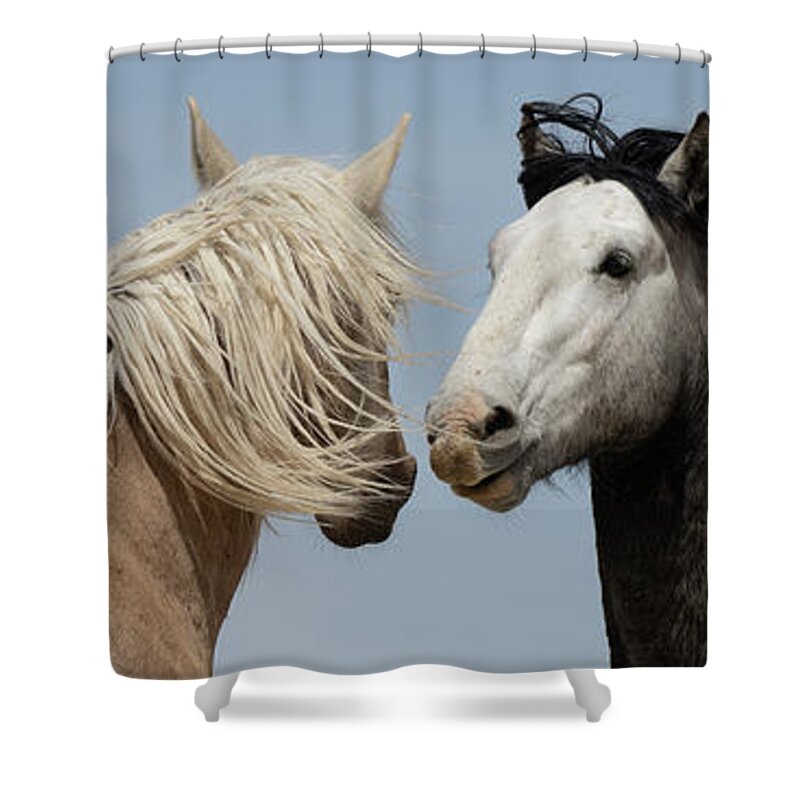Panorama Shower Curtain featuring the photograph Palomino and a Gray by Mary Hone