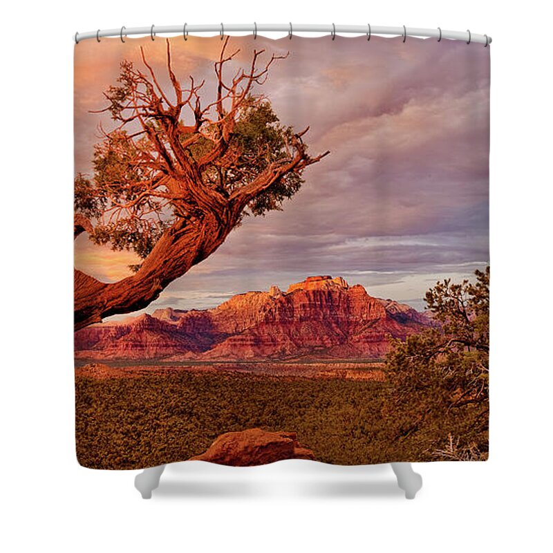 North America Shower Curtain featuring the photograph Panorama Storm Back of Zion formations Utah by Dave Welling