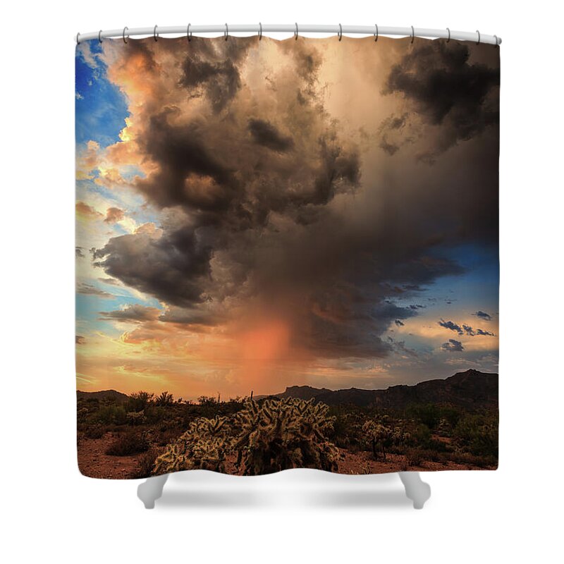 American Southwest Shower Curtain featuring the photograph Parched by Rick Furmanek
