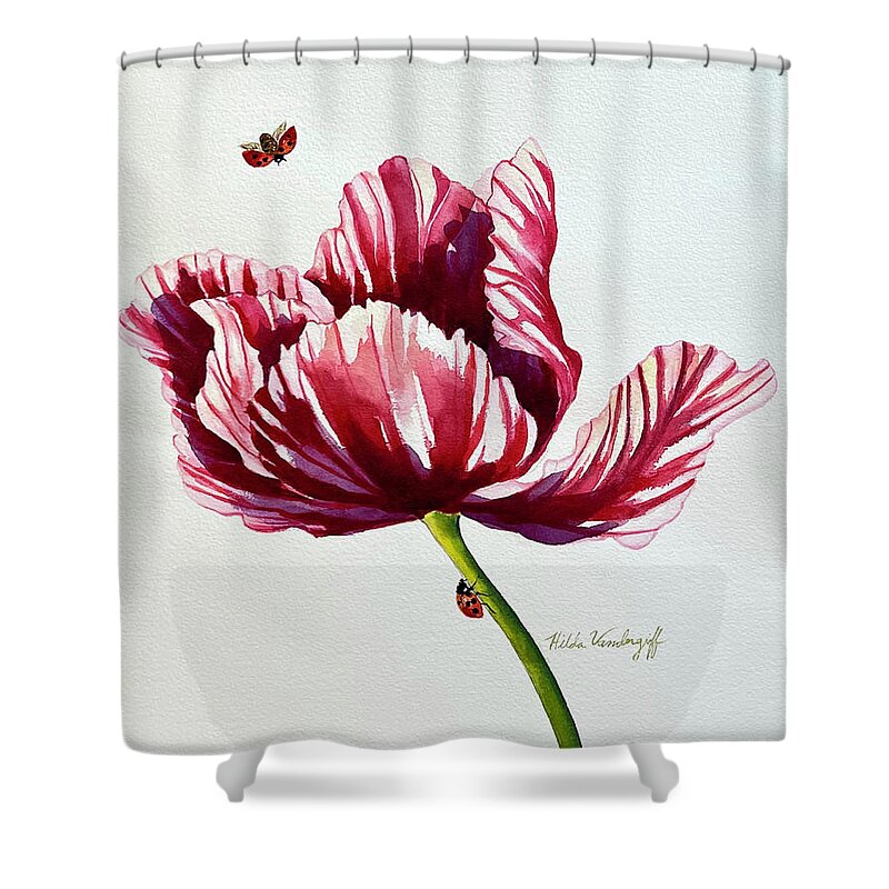 Tulip Shower Curtain featuring the painting Parrot Tulip by Hilda Vandergriff
