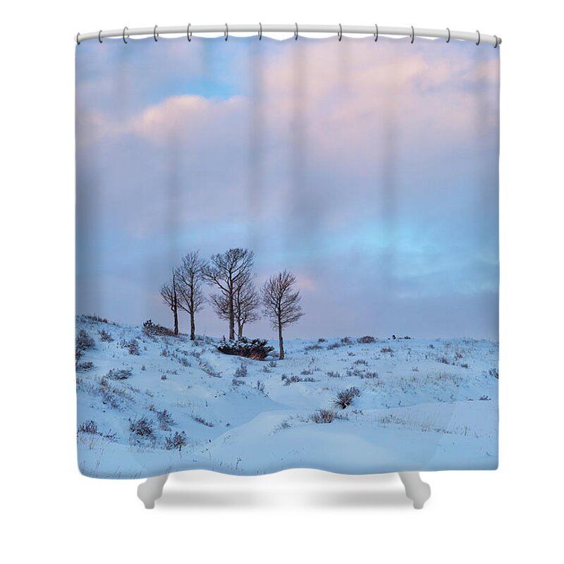 Winter Shower Curtain featuring the photograph Party Of Five by Denise Bush
