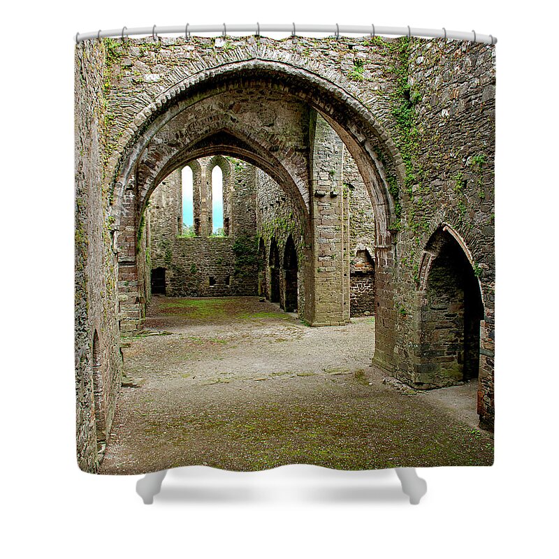 Dunbrody Abbey Shower Curtain featuring the photograph Eyes of the Past - Dunbrody Abbey, County Wexford, Ireland by Denise Strahm