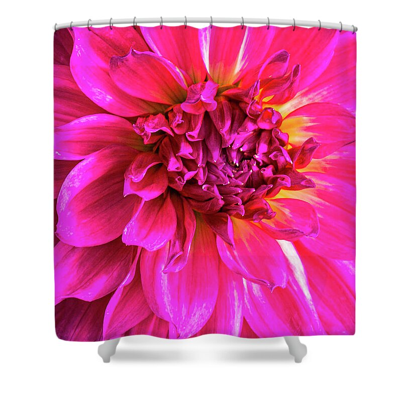 Nature Shower Curtain featuring the photograph Passion Flower by Claude Dalley