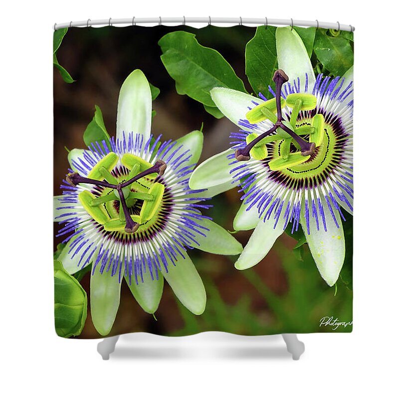 Passion Flowers Shower Curtain featuring the digital art Passion Flowers 09921 by Kevin Chippindall