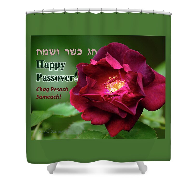 Inspirational Shower Curtain featuring the photograph Passover Rose by Brian Tada
