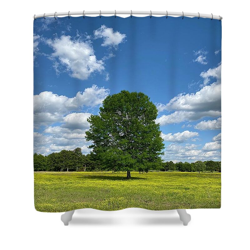 Pasture Shower Curtain featuring the photograph Pasture Tree by Steven Gordon