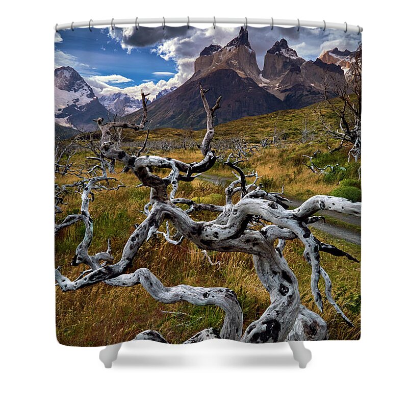 Fitz Roy Shower Curtain featuring the photograph Patagonia 00041 by Bernardo Galmarini