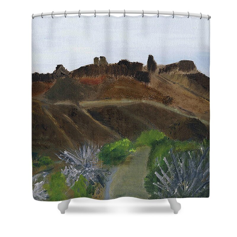 Mountain Shower Curtain featuring the painting Path Not Taken by Linda Feinberg
