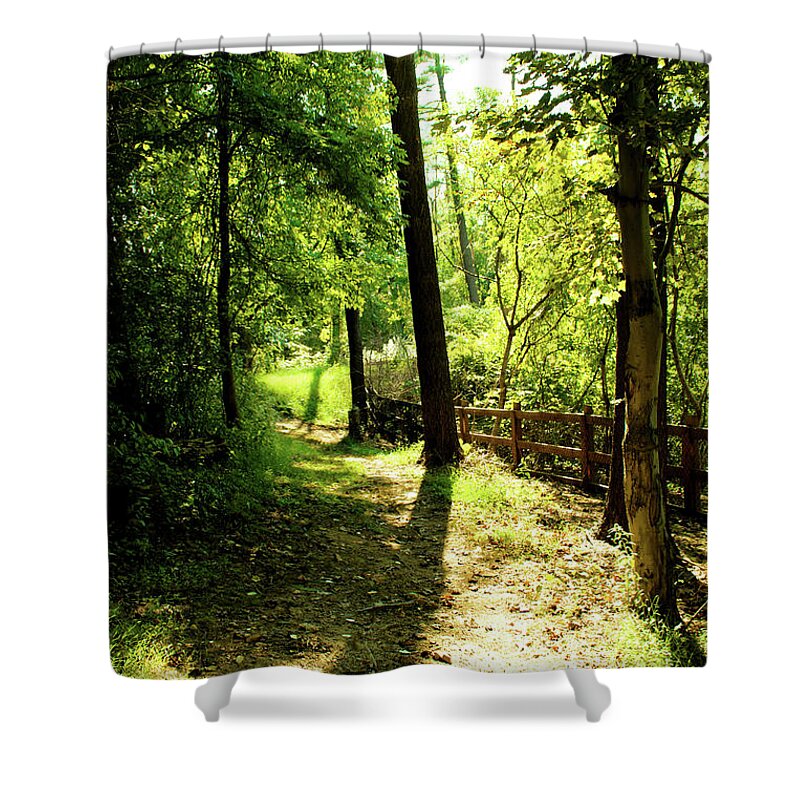 Trees Shower Curtain featuring the photograph Path out of Summer by Christopher Reed