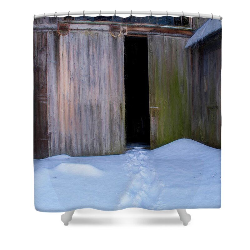 Momentos Shower Curtain featuring the photograph Path to the Mossy Door by Wayne King