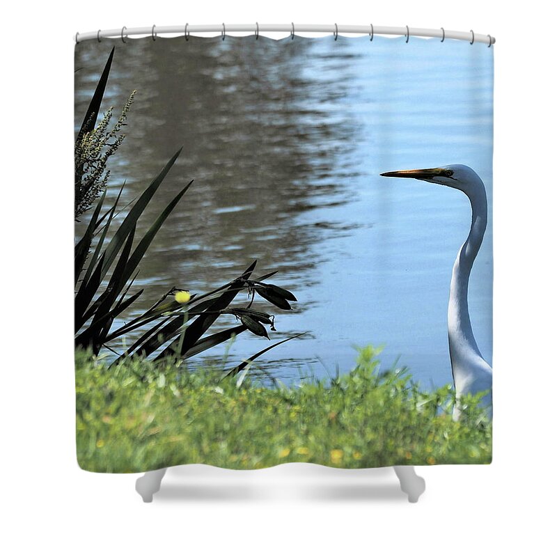 White Shower Curtain featuring the photograph Patience 5 by C Winslow Shafer