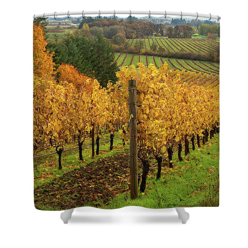 Vineyard Shower Curtain featuring the photograph Patterns of Fall in the Vineyard by Leslie Struxness