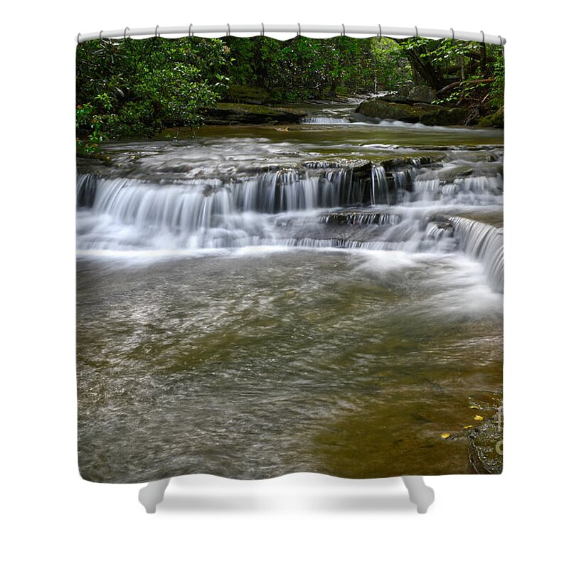 Tennessee Shower Curtain featuring the photograph Paw Paw Creek by Phil Perkins
