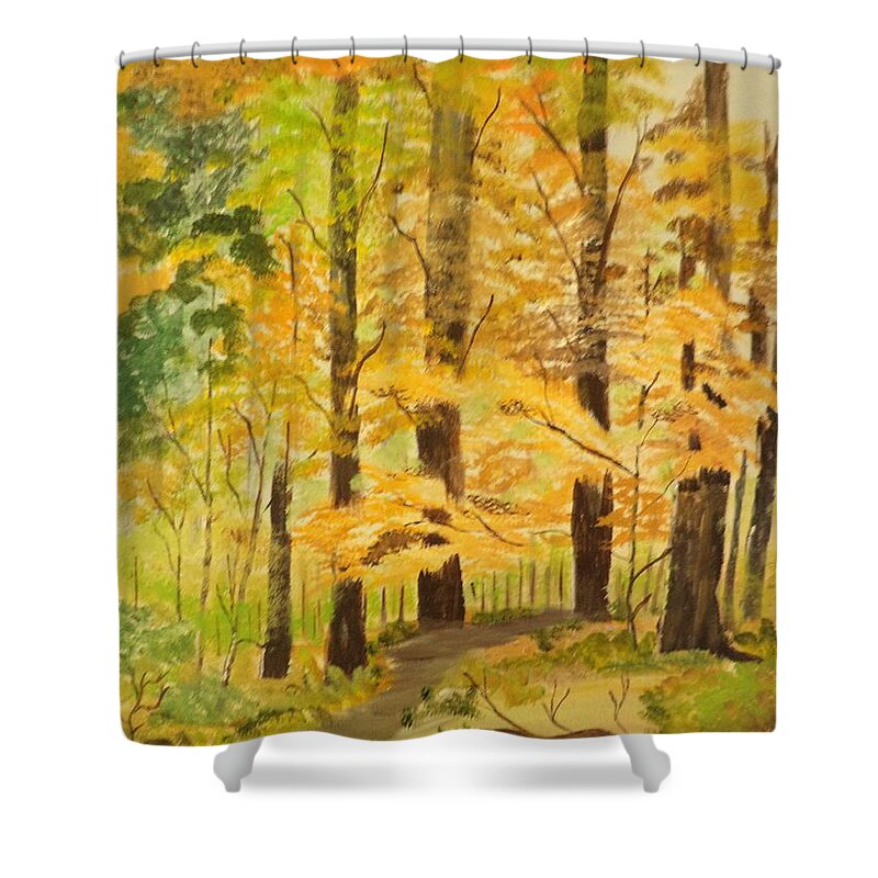 Donnsart1 Shower Curtain featuring the painting Peaceful Moment Painting # 309 by Donald Northup