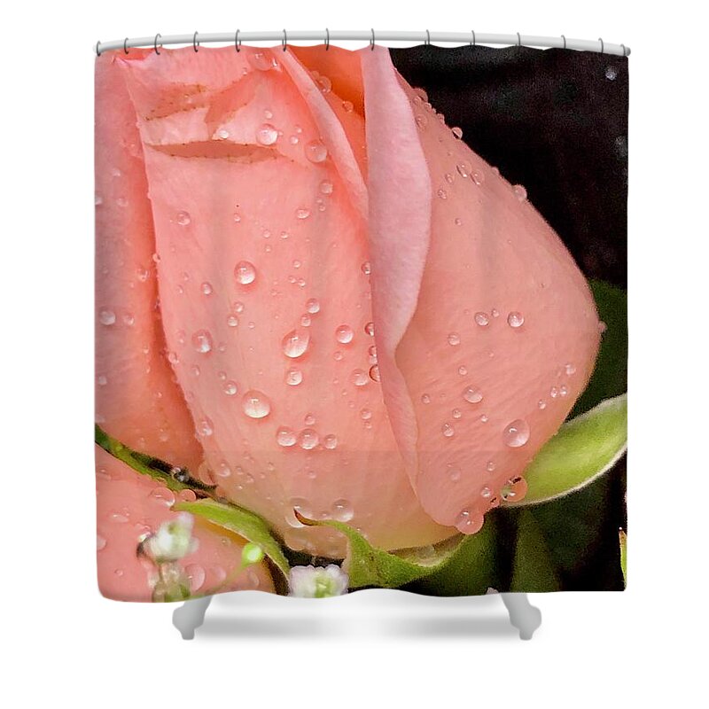 Rose Shower Curtain featuring the photograph Peach Roses by Lisa Pearlman