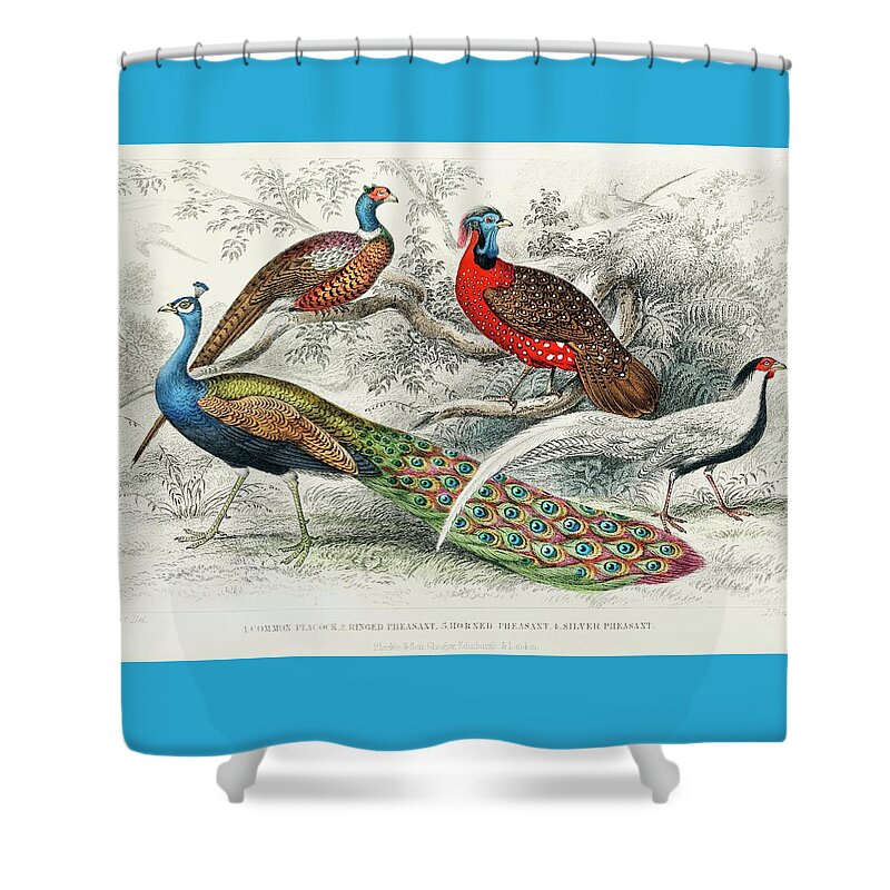 Peacock Shower Curtain featuring the mixed media Peacock and Pheasants by World Art Collective