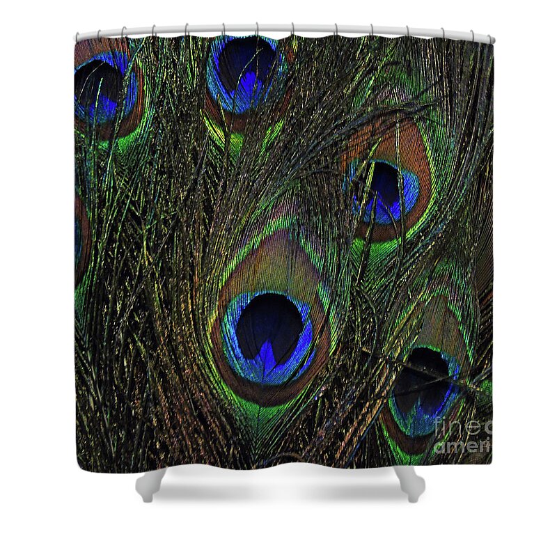 Peacock Shower Curtain featuring the photograph Peacock Feather Art 3 by D Hackett