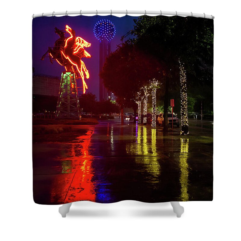 Rainy Night Shower Curtain featuring the photograph Pegasus by Debby Richards