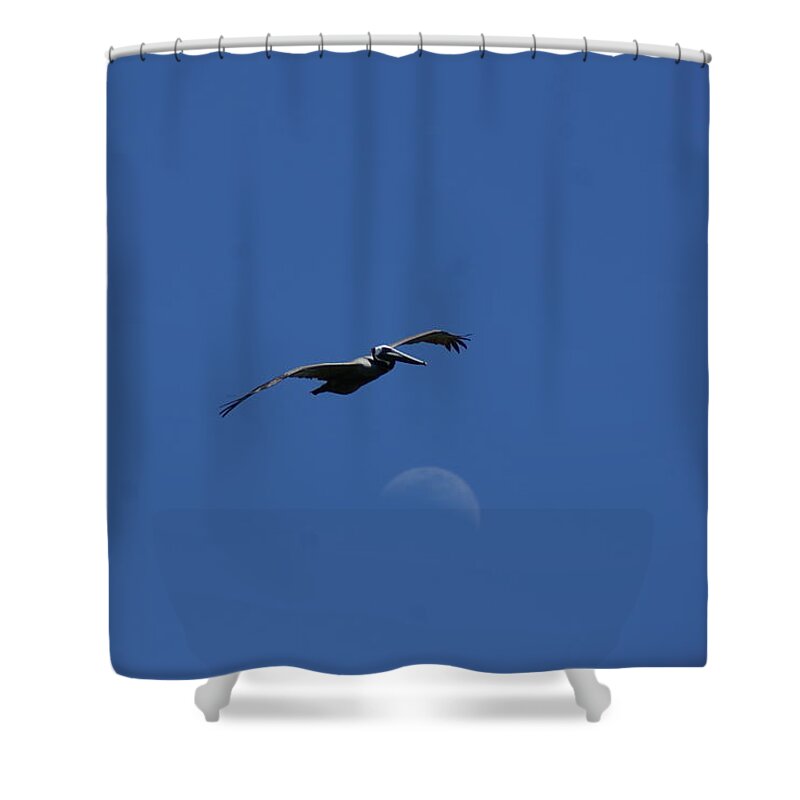 Pelican Shower Curtain featuring the photograph Pelican Moon by Heather E Harman