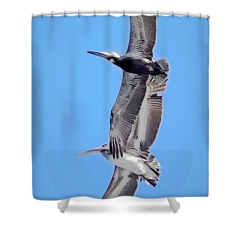 Sea Shower Curtain featuring the photograph Boys at the Beach by John Anderson
